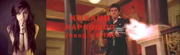 твердый Абаза