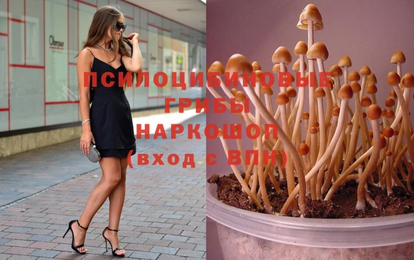 твердый Абаза