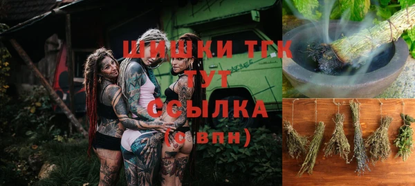 твердый Абаза
