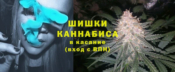 твердый Абаза