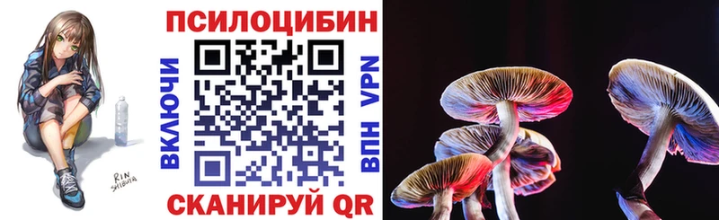 Псилоцибиновые грибы GOLDEN TEACHER  где найти наркотики  Азов 