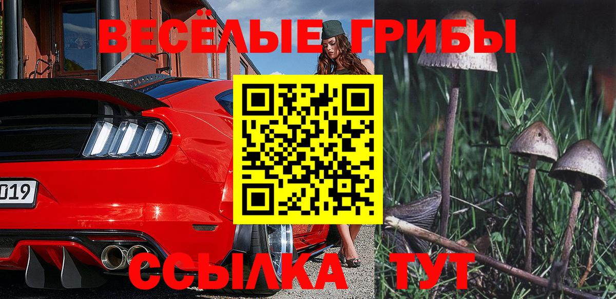 Галлюциногенные грибы Magic Shrooms Азов
